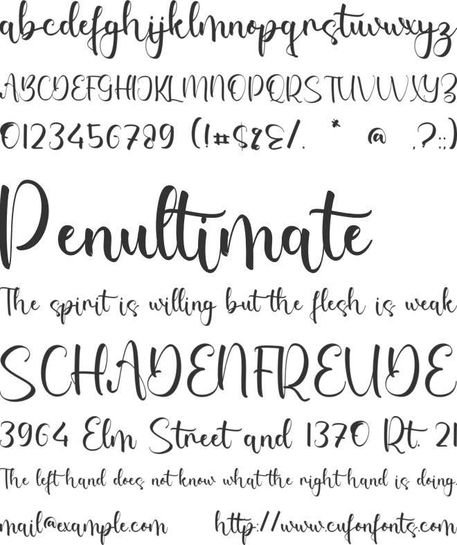 Virginia Priscilla font preview