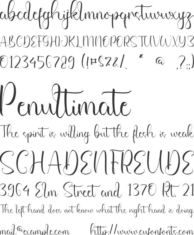 Skyler Charleigh font preview