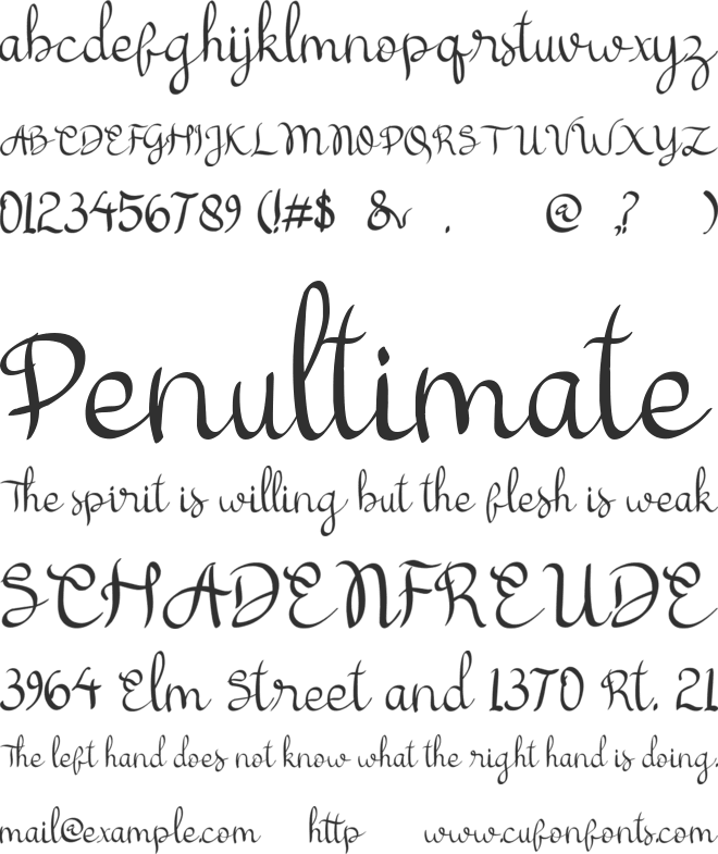 cattelyna font preview