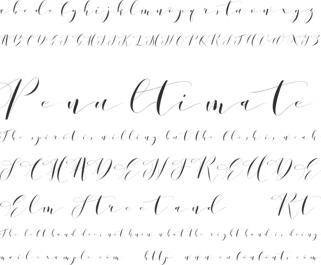 Donita Handscript Demo font preview