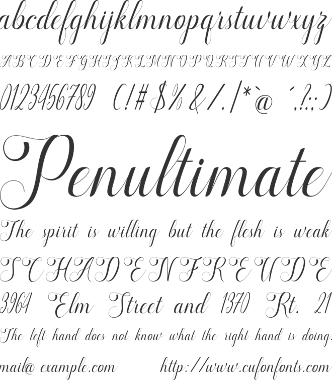 marketing font preview