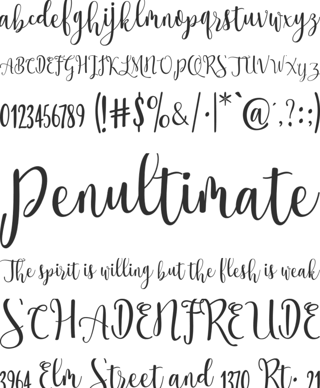 Ossellany Script font preview