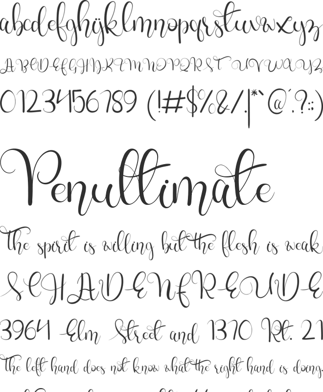 charllie Personel Use font preview