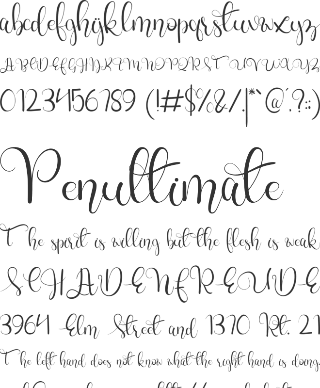 charllie Personel Use font preview