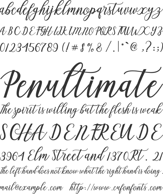 Aseline Script font preview