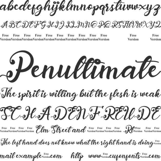 anadya Personal Use Only font preview