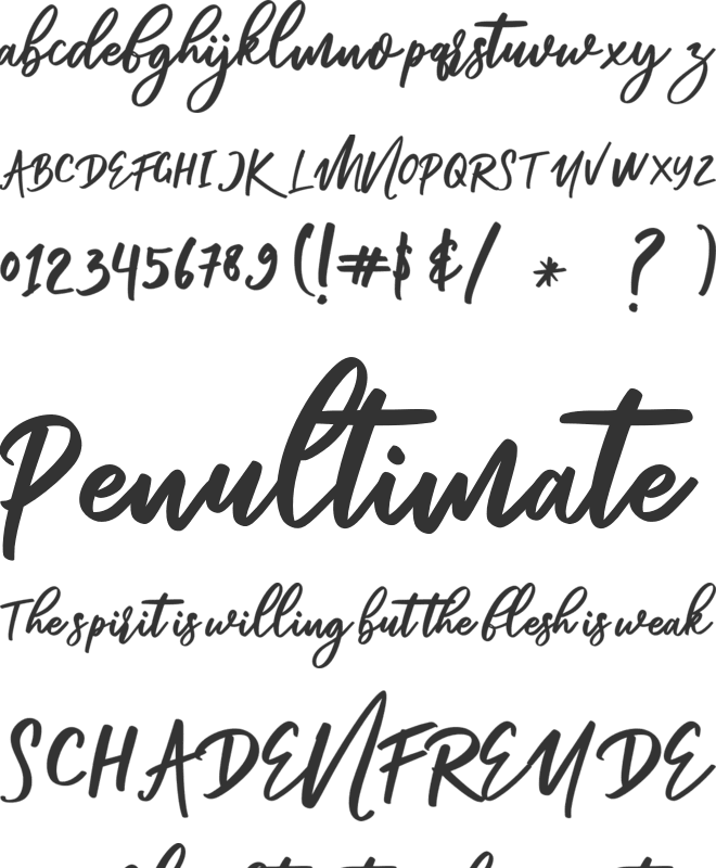 Renata font preview