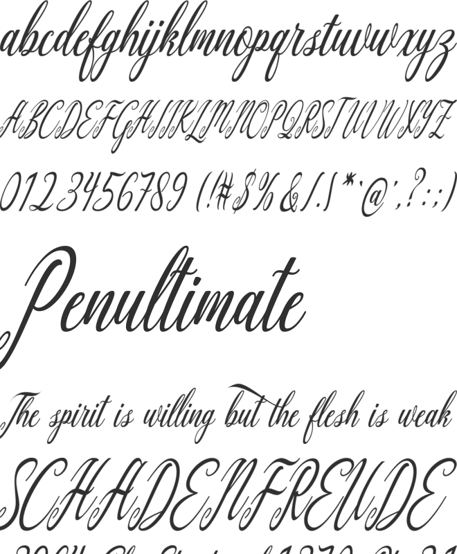 Aquilera Script font preview