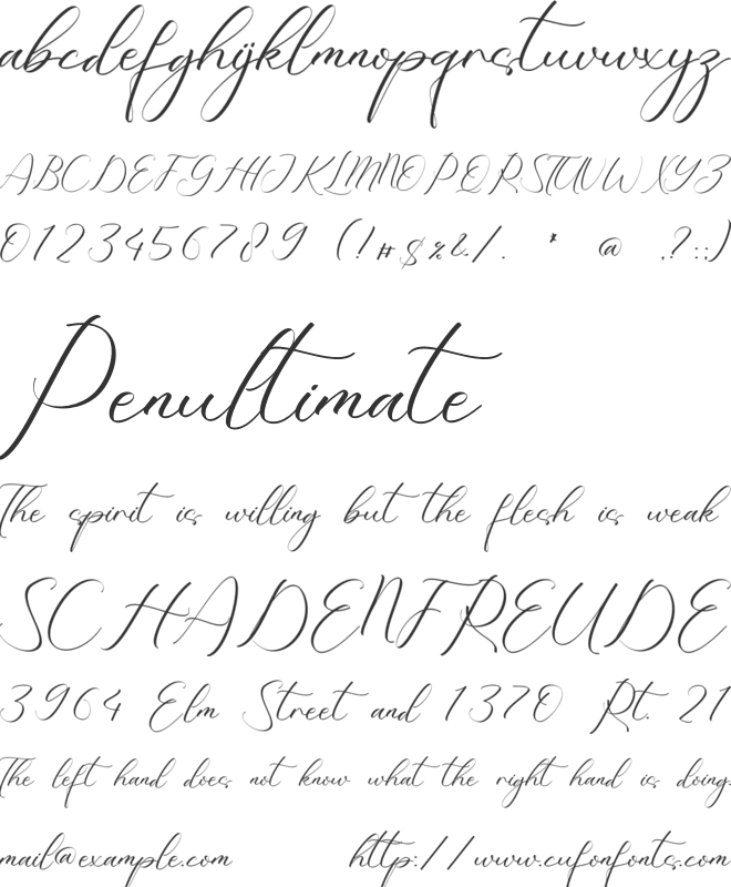 Elaine Antonella font preview