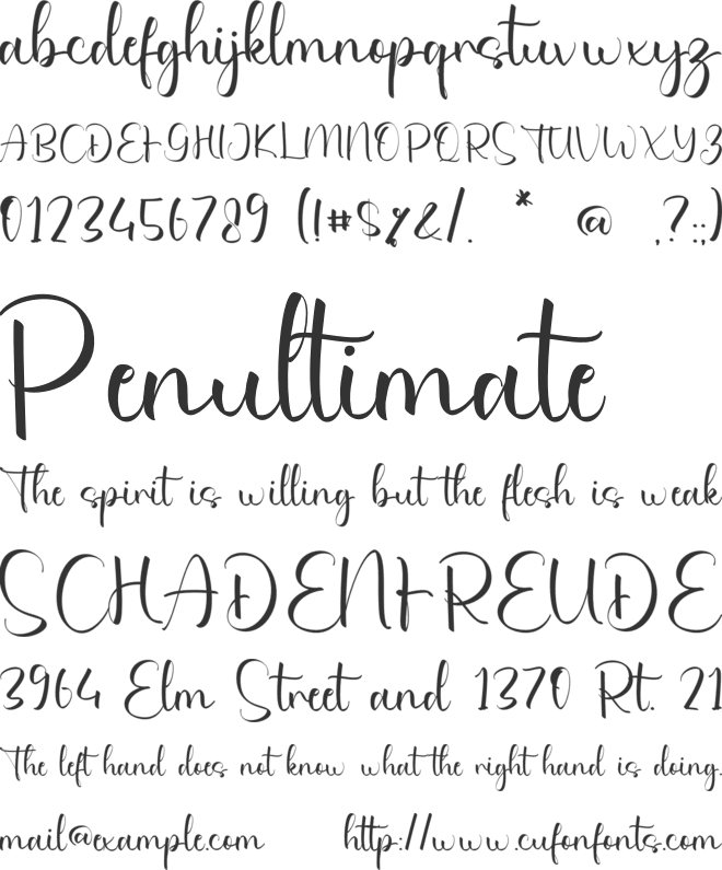Carolyn Zendaya font preview