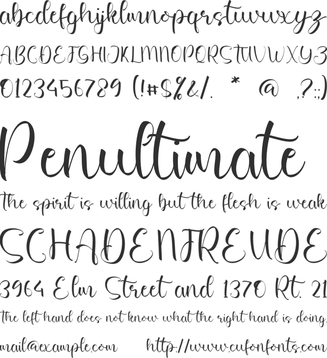 Andrea Sienna font preview
