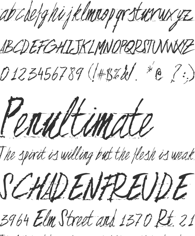 Floja Script font preview
