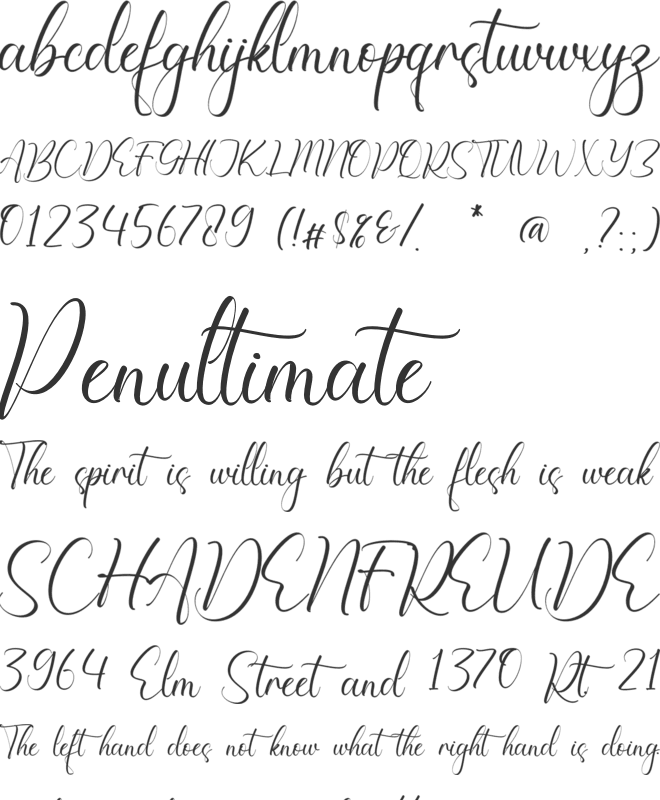 Nalani Frankie font preview