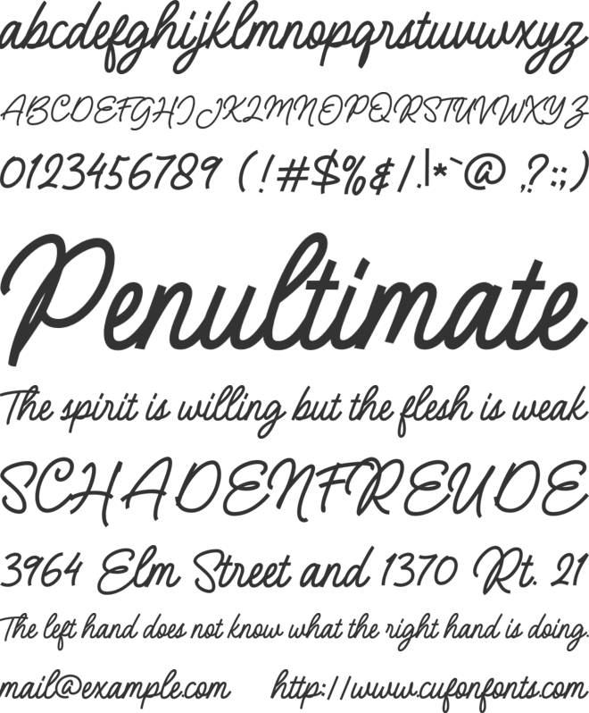 The Bristers Script font preview