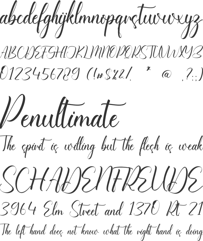 Alessandra Sabrina font preview