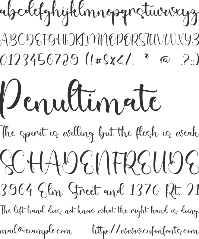 Natalee Belinda font preview