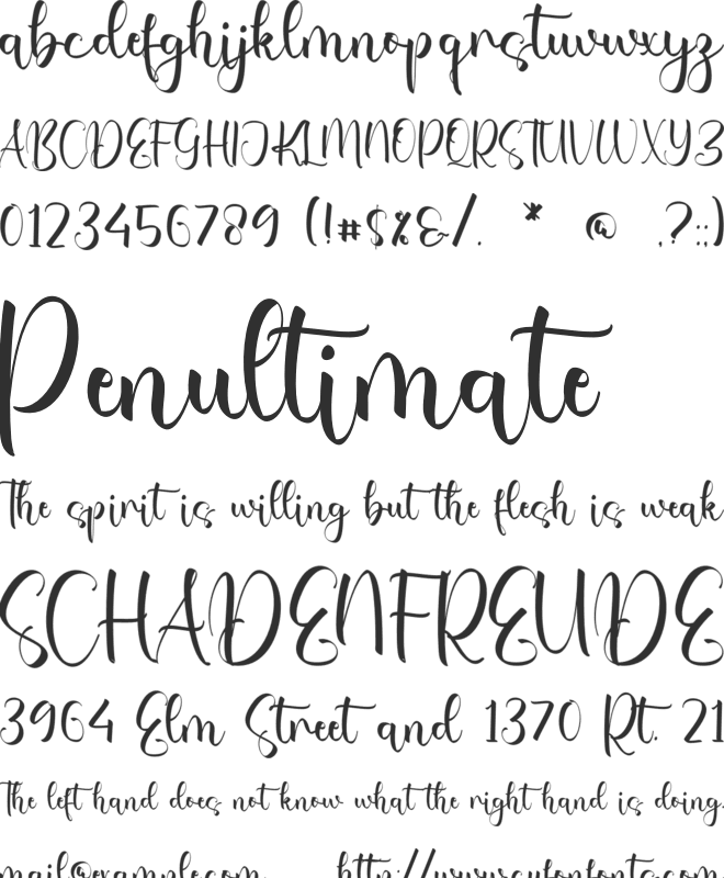 Guadalupe font preview