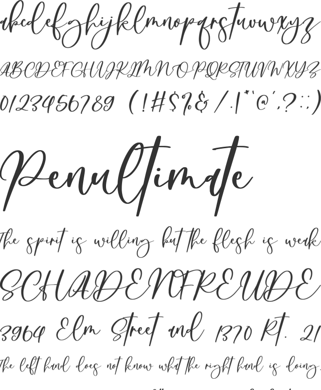 Distance Relationship font preview