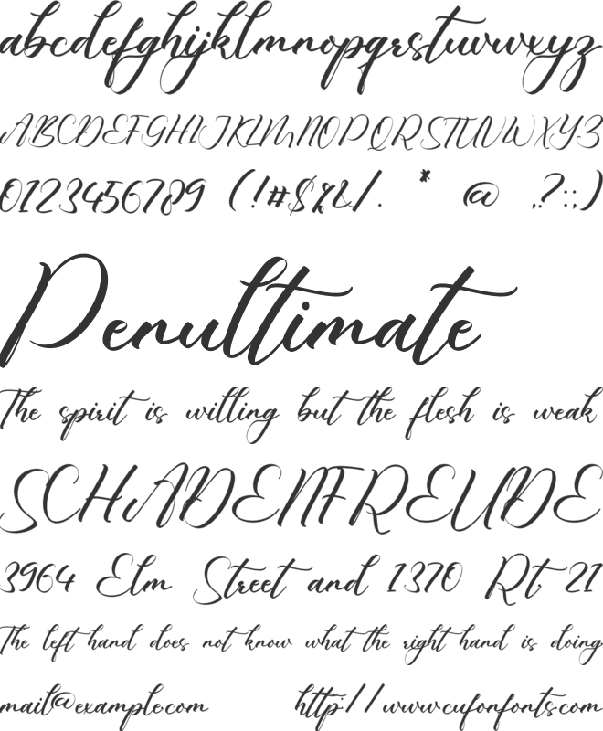 Chandler Nathalia font preview