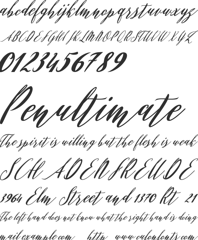 Evelyne Script font preview