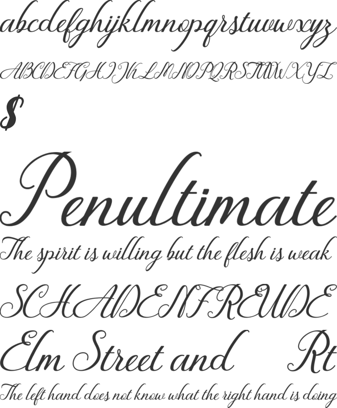 Fiction font preview