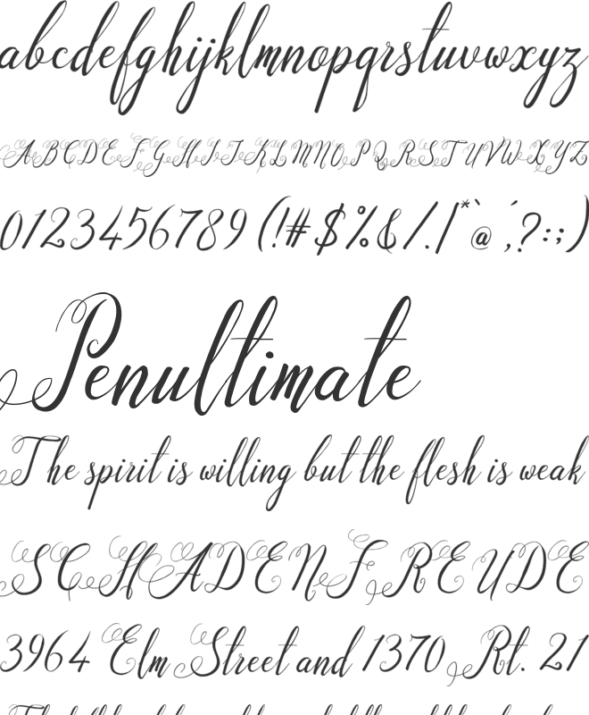 Santa Rose font preview