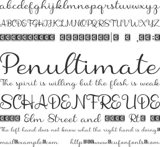 Shanela font preview