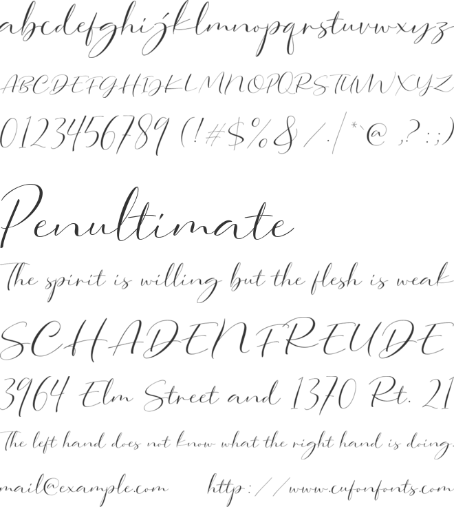 Dorothy Clark Script DEMO font preview