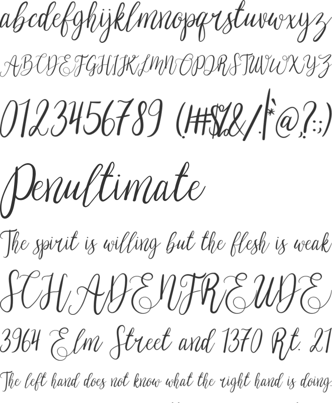 Michelia Alba font preview