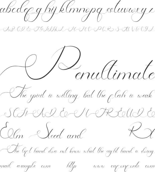 Raysha Moonly Demo font preview