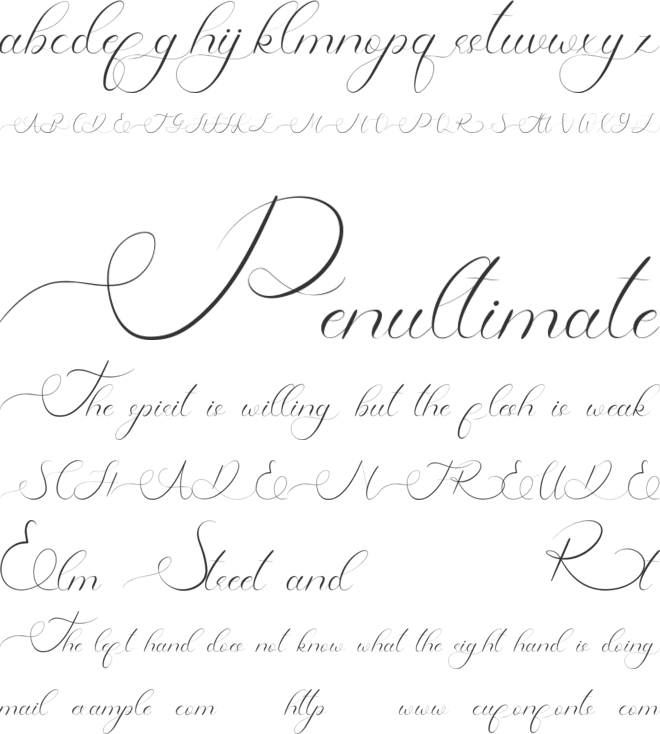 Raysha Moonly Demo font preview