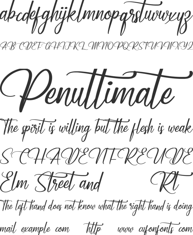 Workday Demo font preview