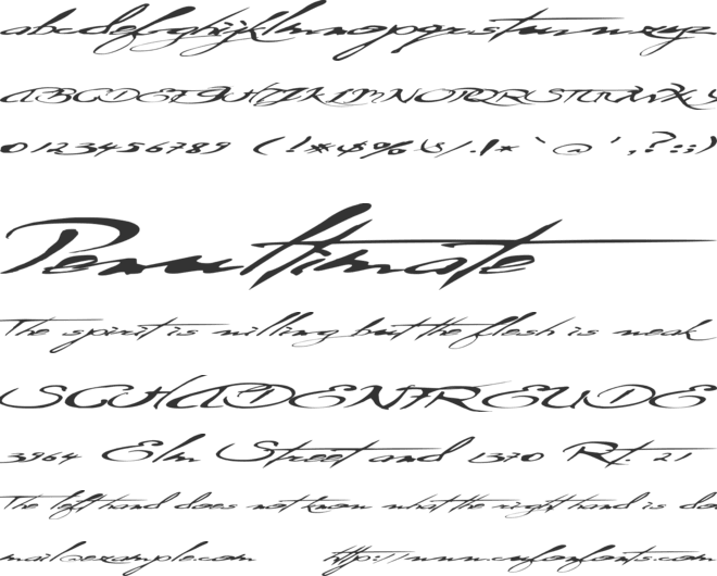 Ersatz Quality font preview