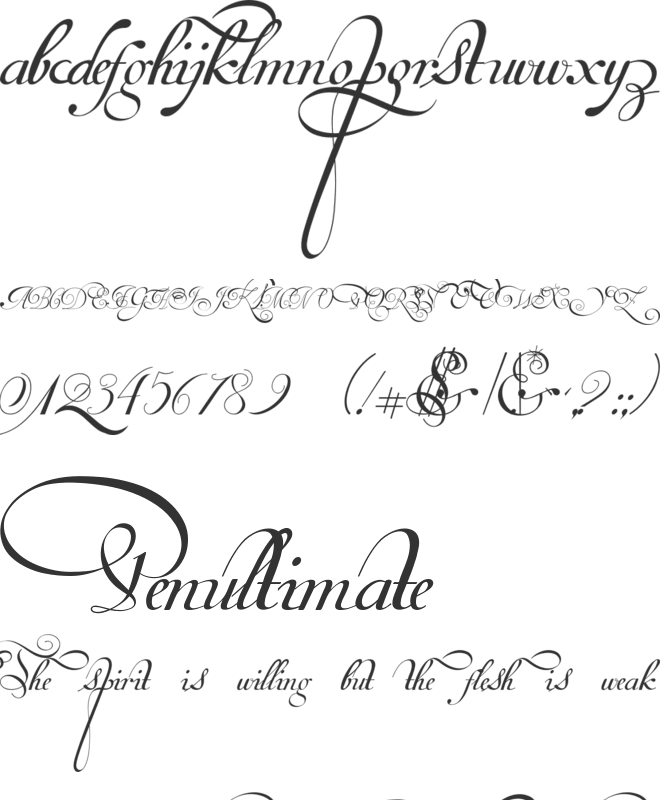 Van den Velde Script DEMO VERSION font preview