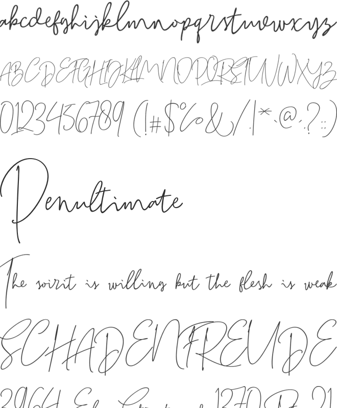 Bitlamero Script font preview