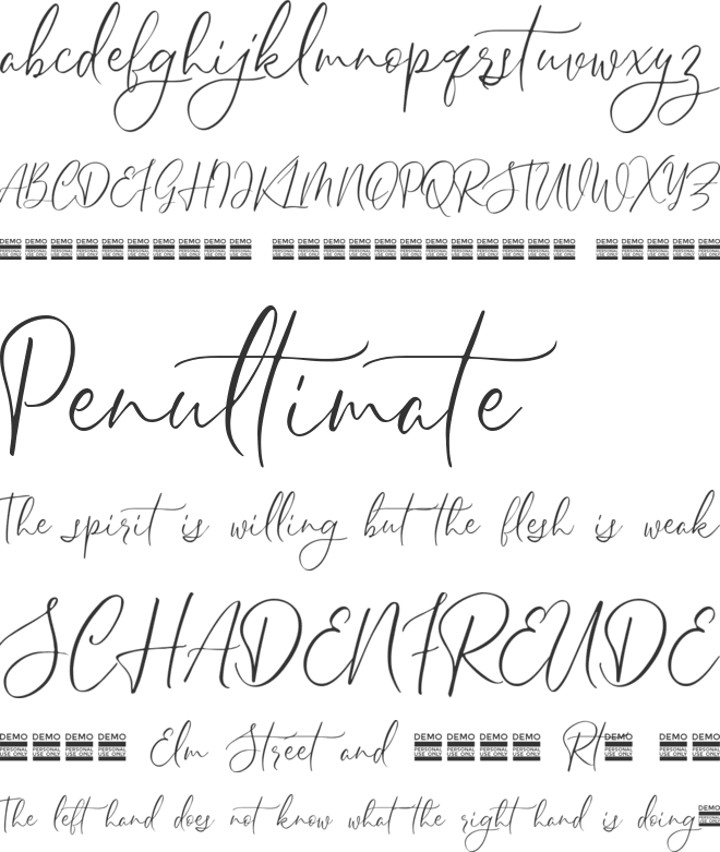 Sheilazain Demo font preview