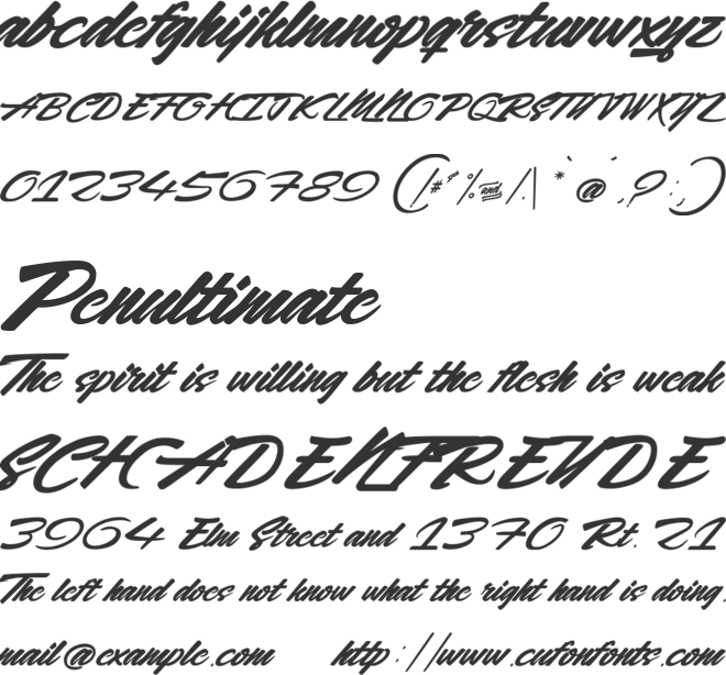 Rocking Season font preview