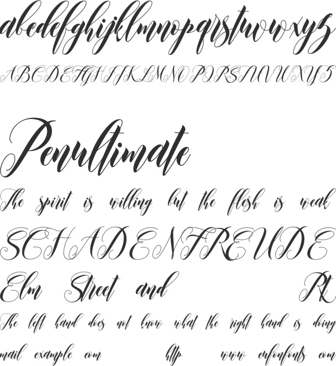 Leather font preview