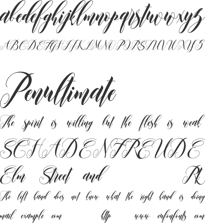 Leather font preview