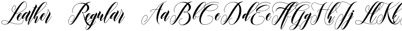 Leather Regular font