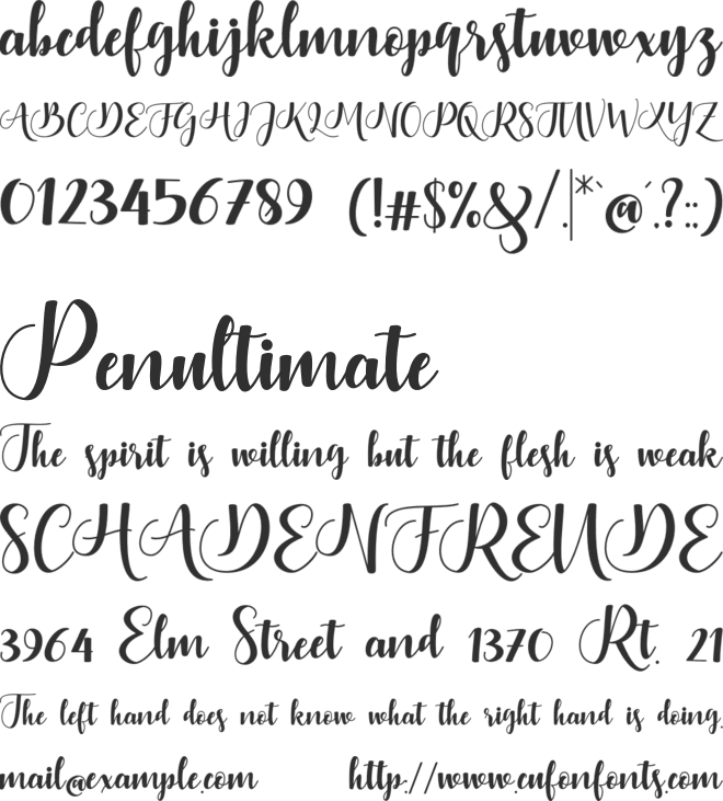 Bontella Script font preview