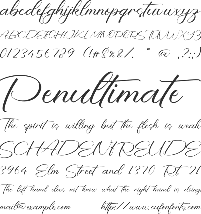 Lottie Carell font preview
