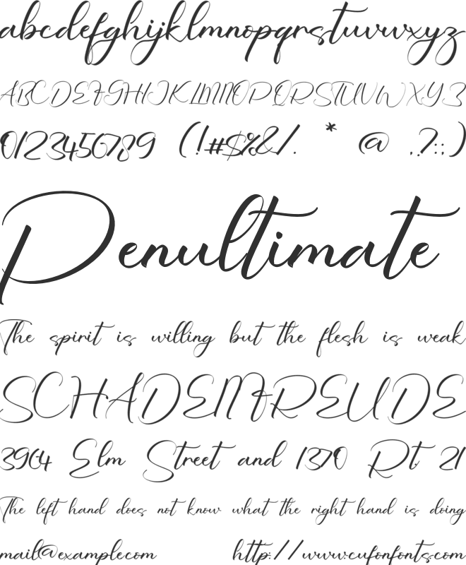 Holly Bomford font preview