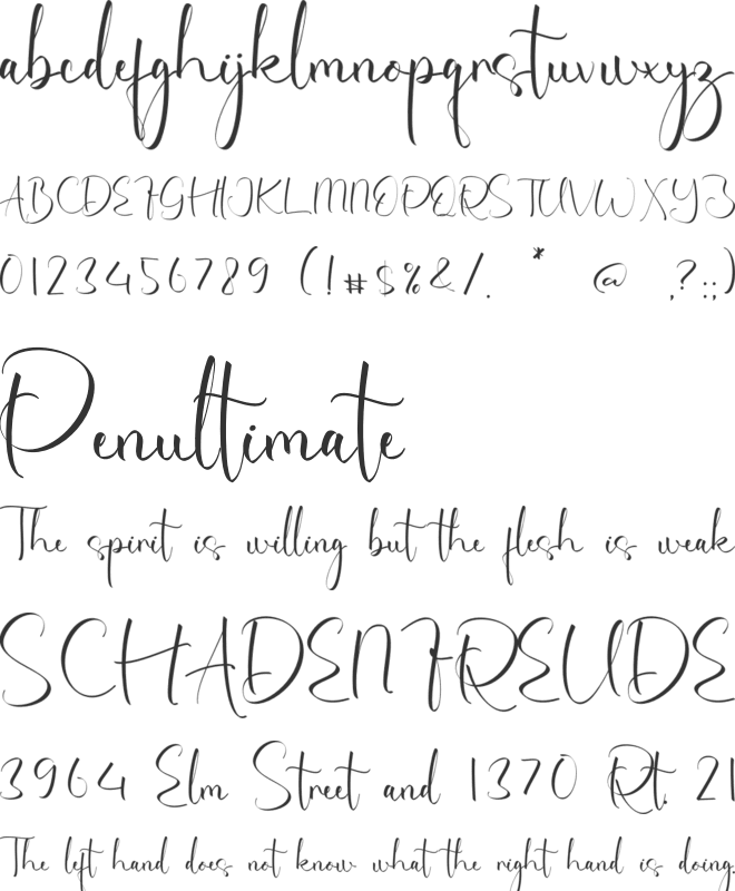 Felicity Adelaide font preview