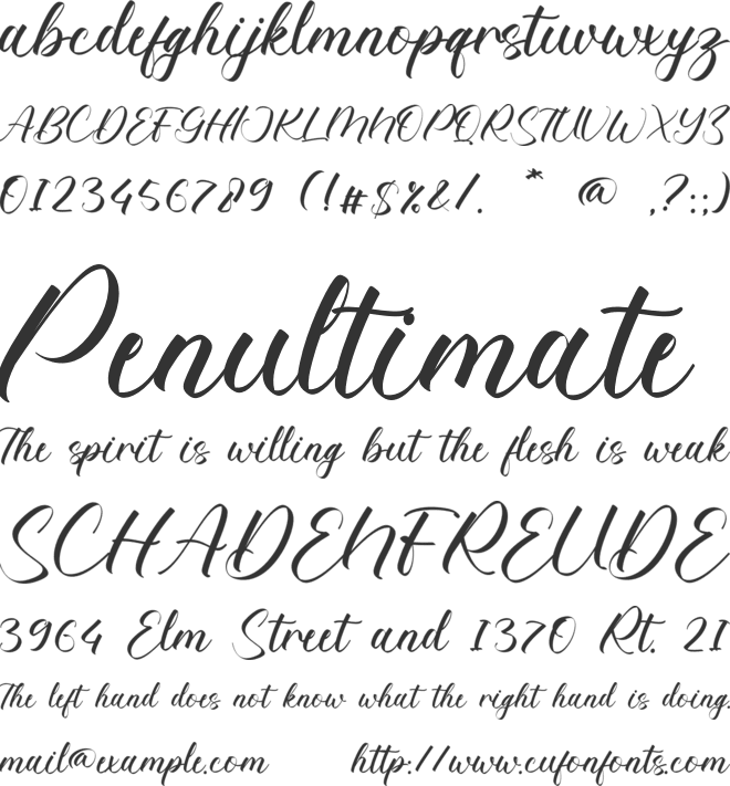 Lynn Carpender font preview