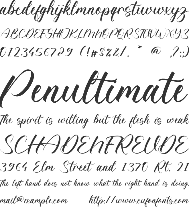 Adelaide Abbott font preview