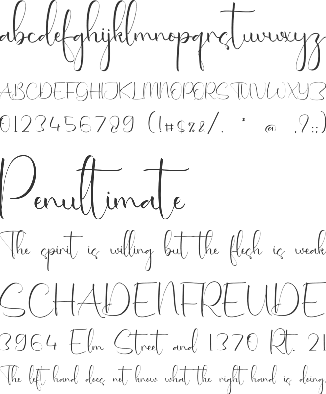 Sabrina Dashwood font preview