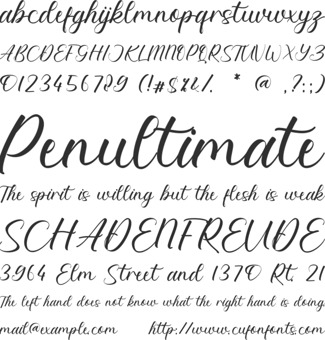Kayleigh Kensley font preview