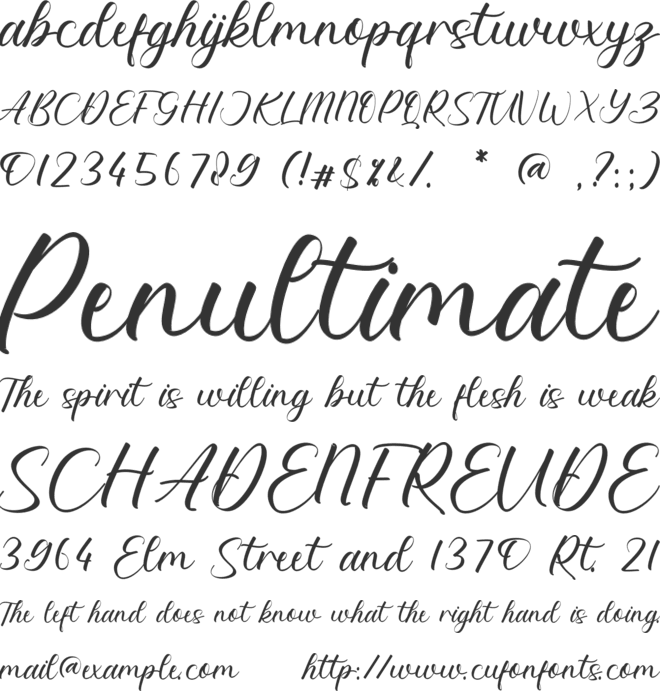 Kayleigh Kensley font preview