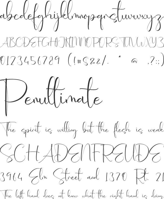 Stephanie Meadow font preview